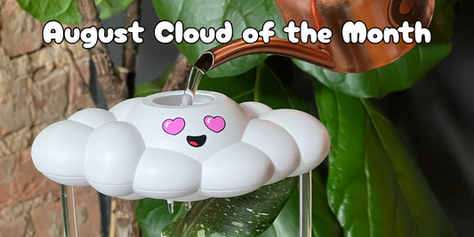 Meet Chloe: August Cloud of the Month & Exciting Updates Ahead