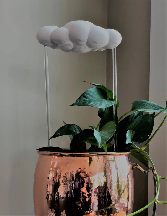 Rain Clouds - Thu, Jan 28, 2021