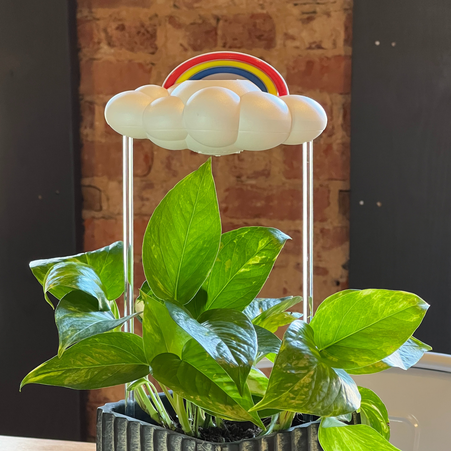 Rainbow Charm for dripping rain cloud