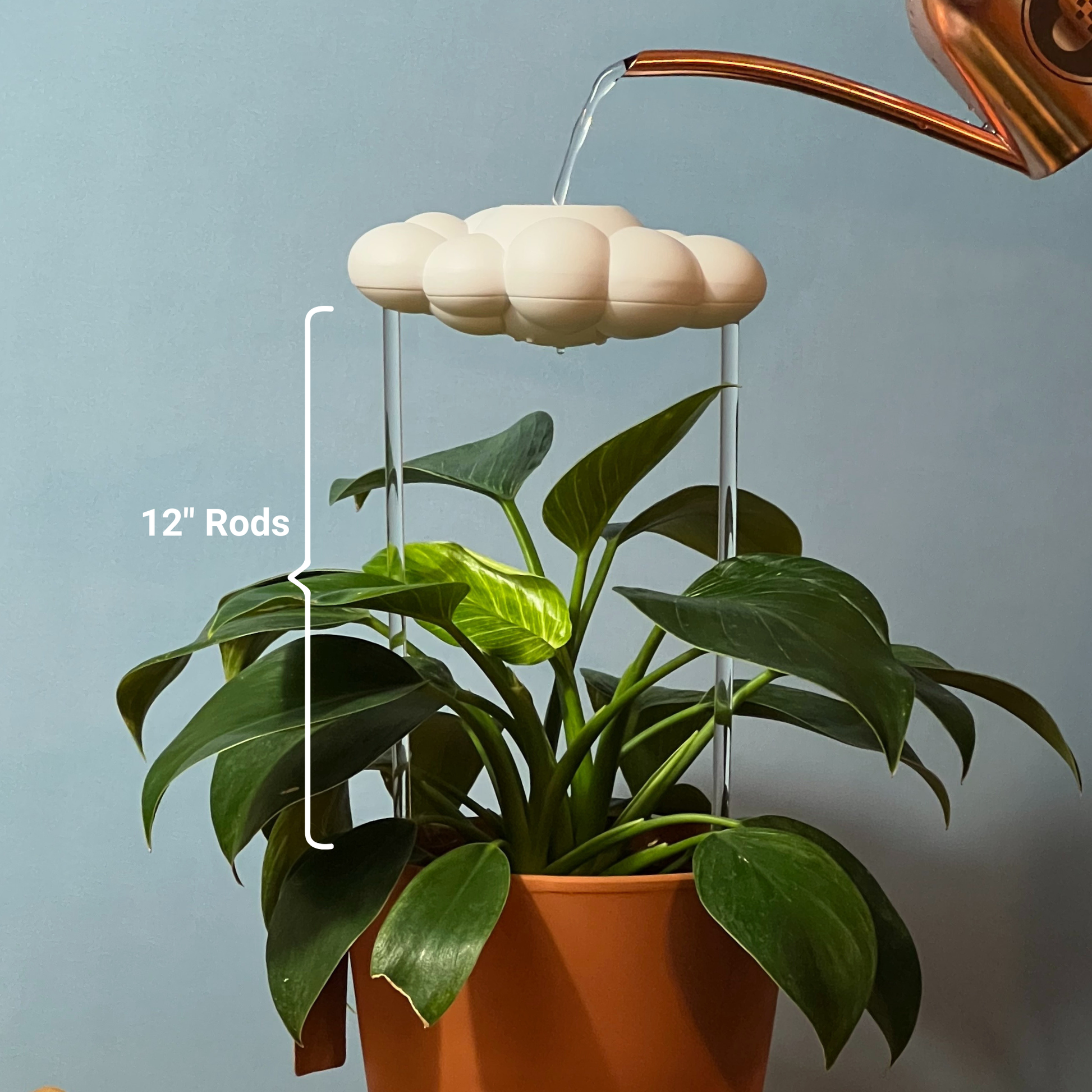 Original Dripping Rain Cloud with watering can on a gray background with acrylic rod measurements marked