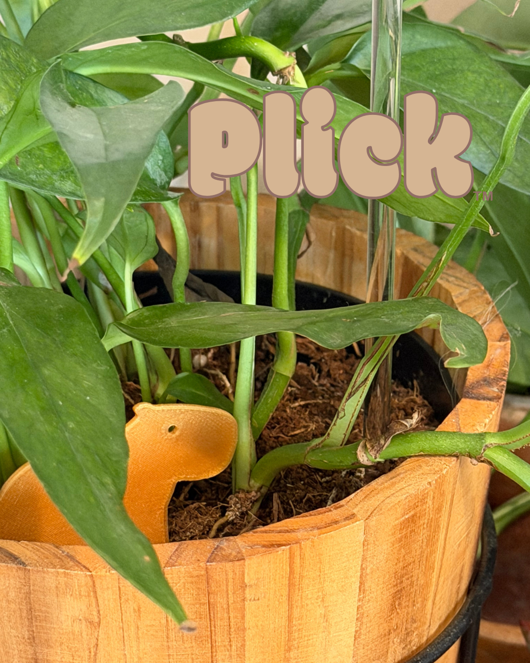 Potted plant with Capybara Plick