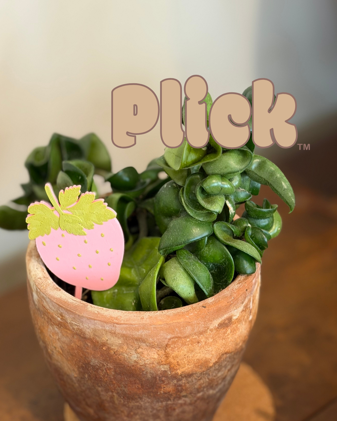 Potted plant with a strawberry-shaped product on a wooden surface, featuring the brand 'Plick'.