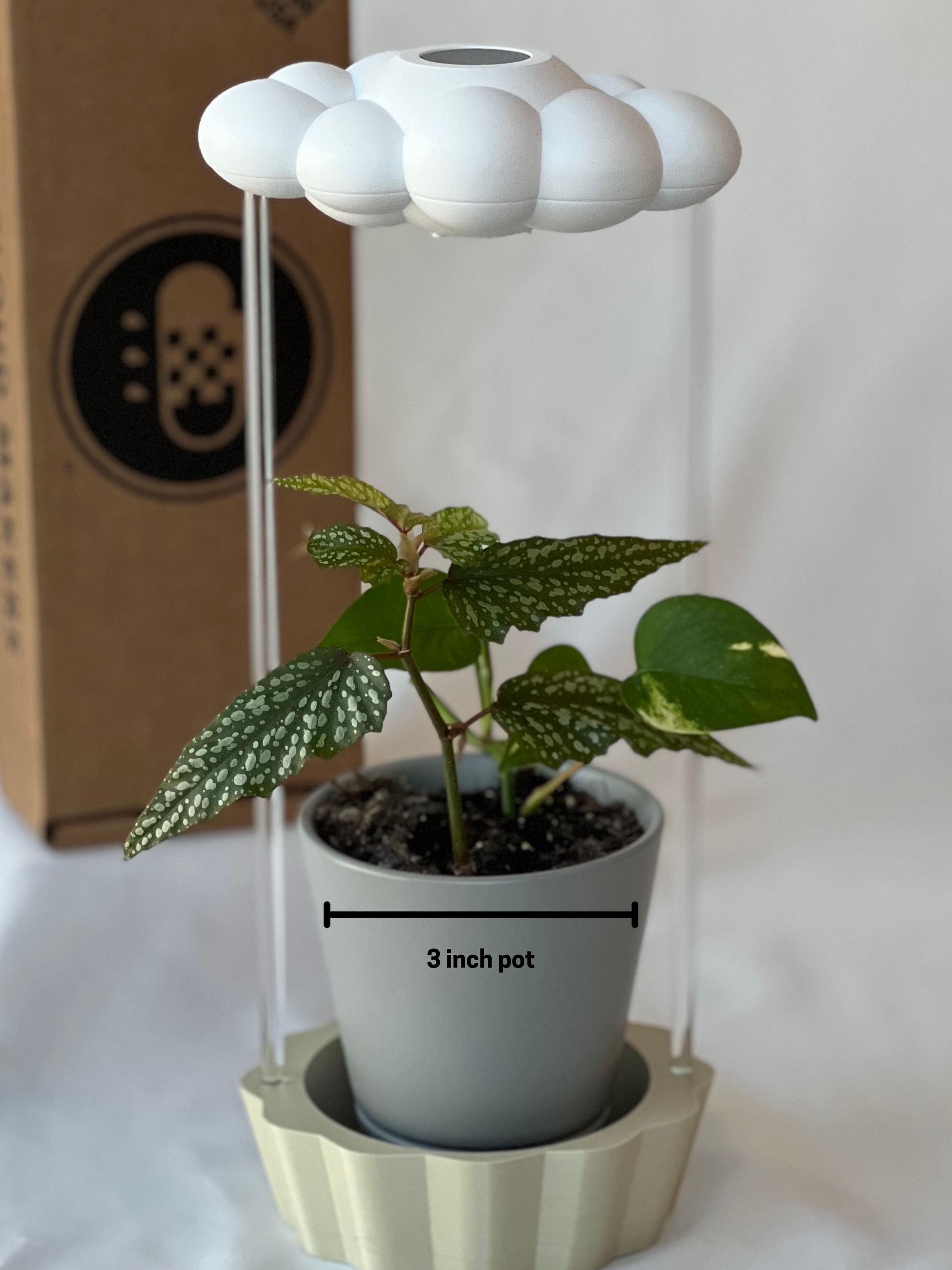 Tan Stand for THE CLOUD MAKERS dripping rain cloud