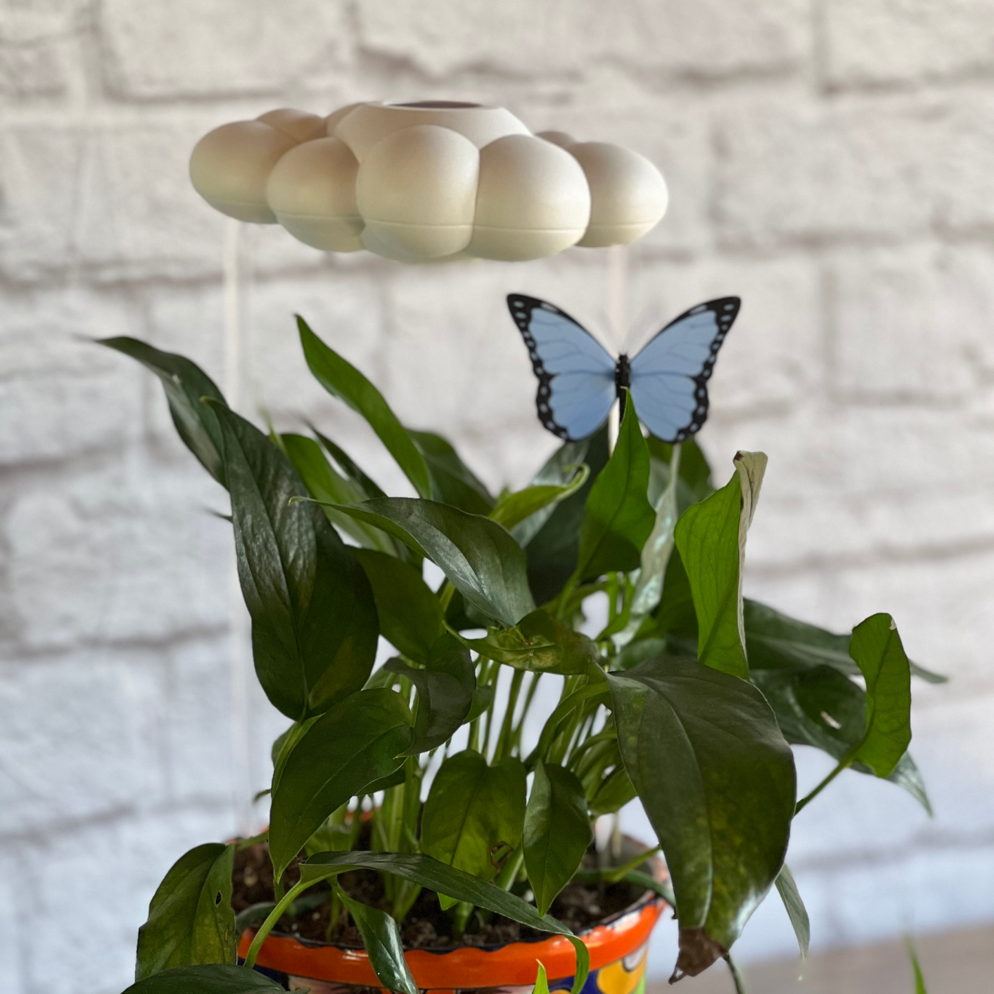 Original dripping rain cloud for plants by THE CLOUD MAKERS with Blue Butterfly charm