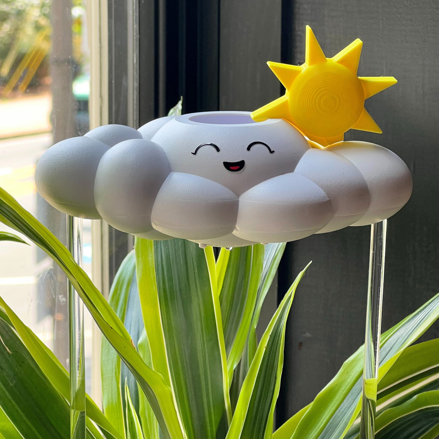 Chelsea the Cloud with sun Charm, placed on a plant.