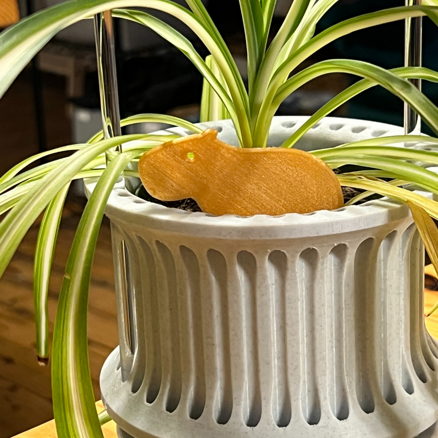 Small potted plant with a Capybara Plick