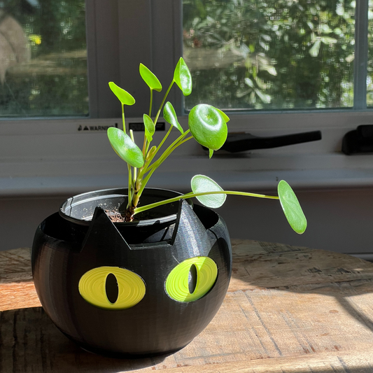 Cat Pot