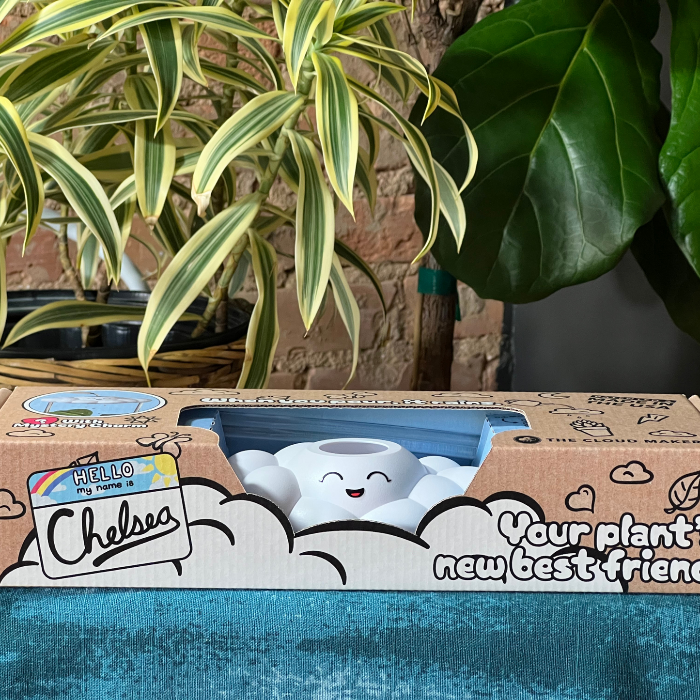 Chelsea the Cloud series 001 packaging surrounded by plants.