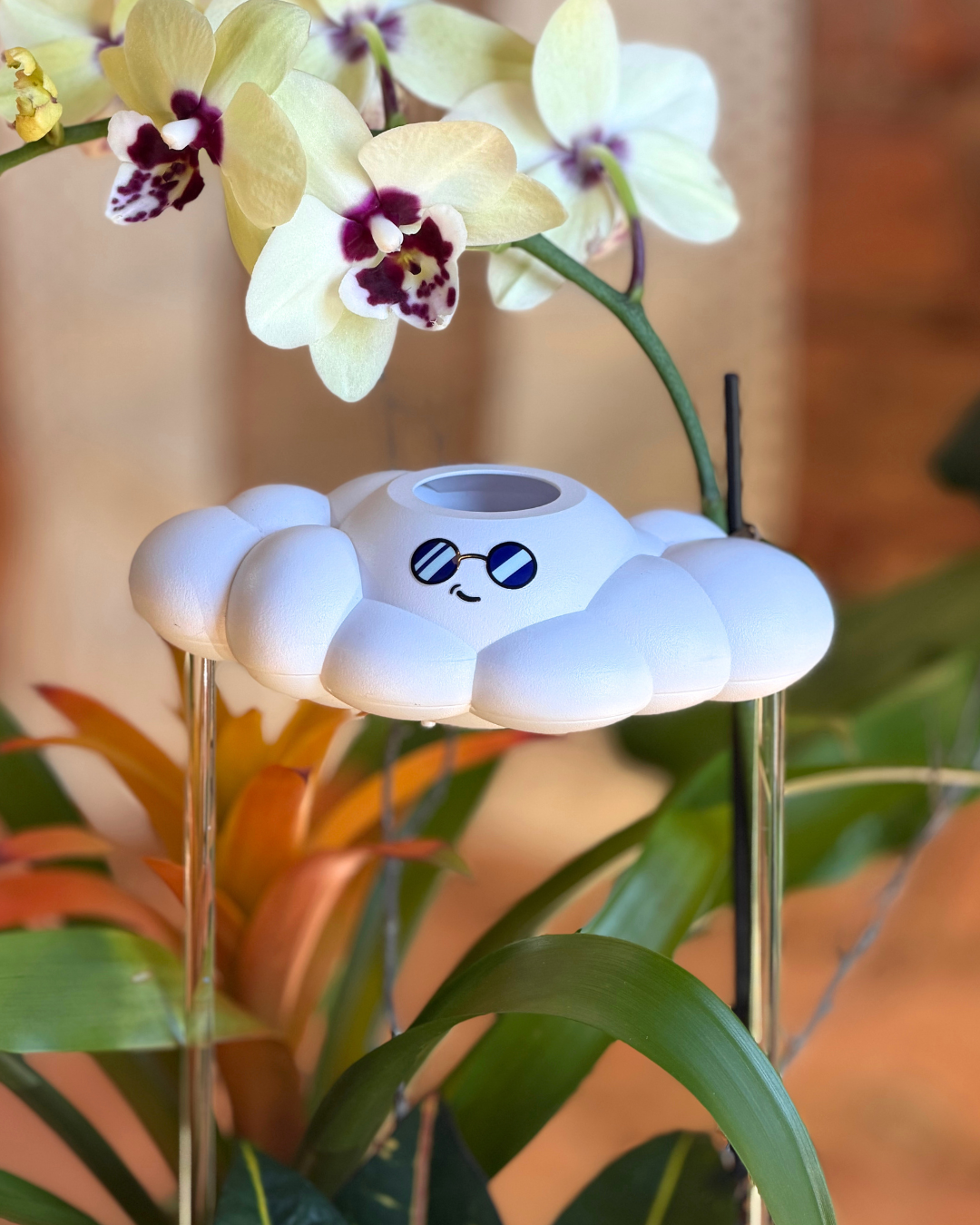 A white cloud-shaped plat waterer with a cute cartoon face, displayed in a garden setting with orchids and green foliage.
