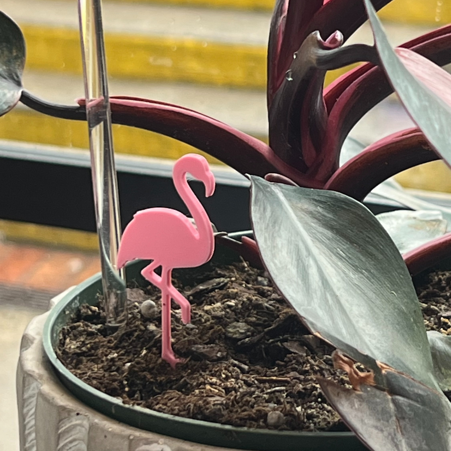 potted plant with a Flamingo Plick