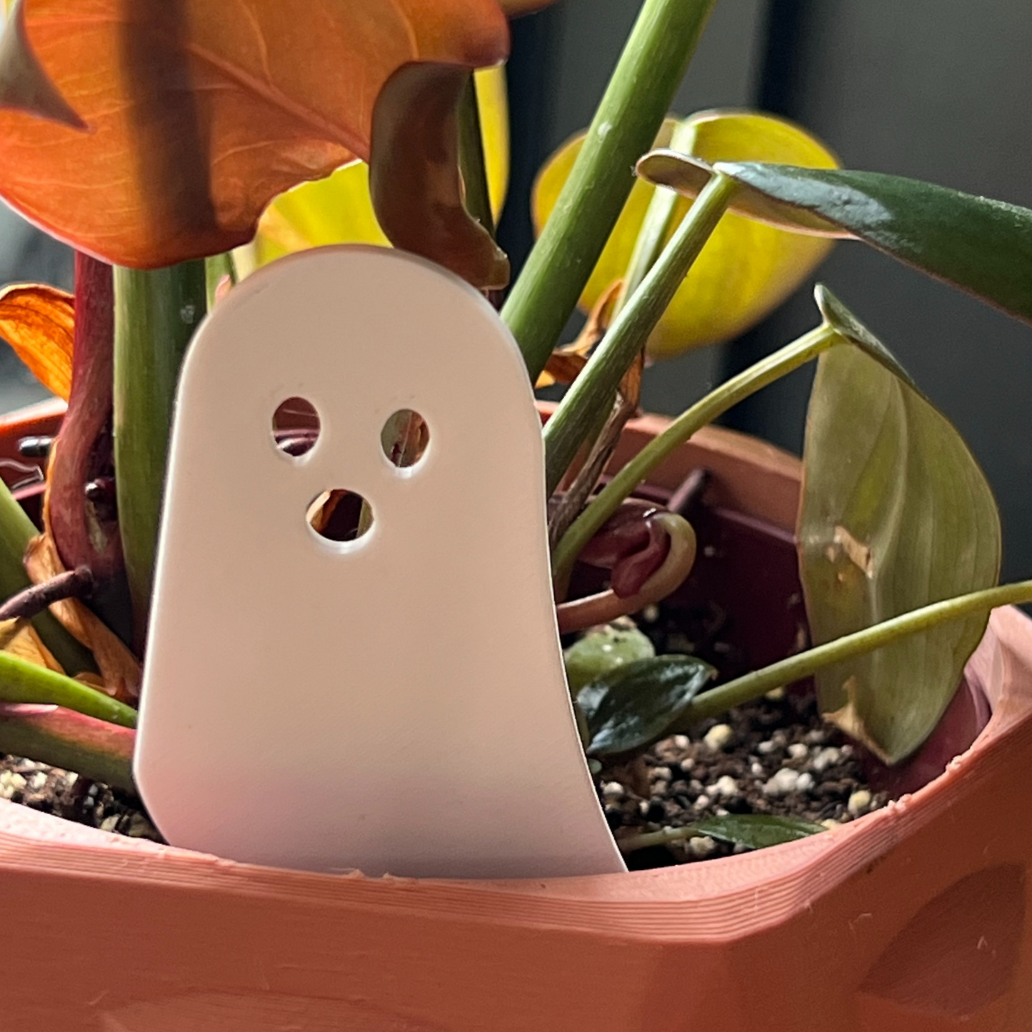 Small potted plant with a white ghost-shaped Plick