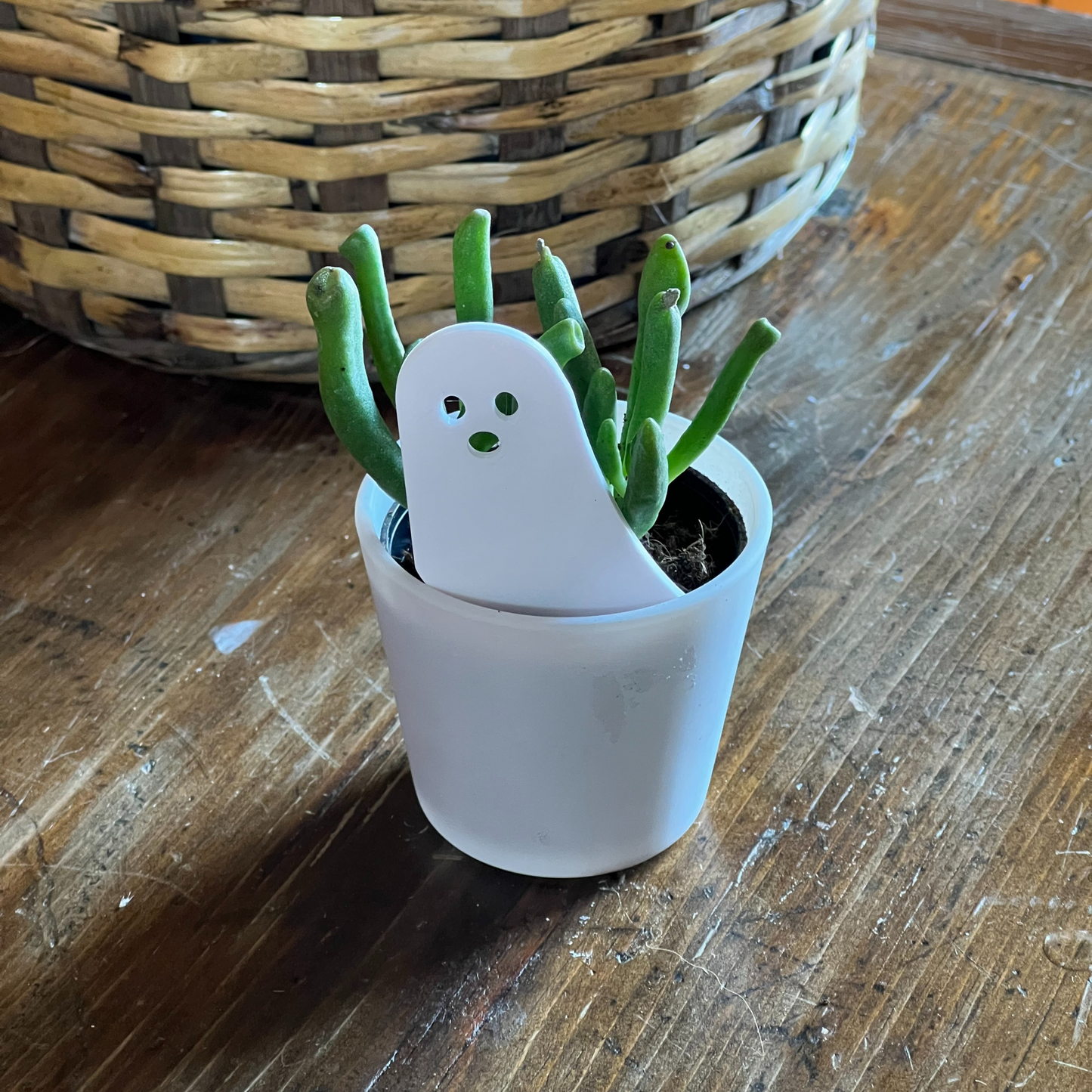Small potted plant with a white ghost-shaped Plick on a wooden surface