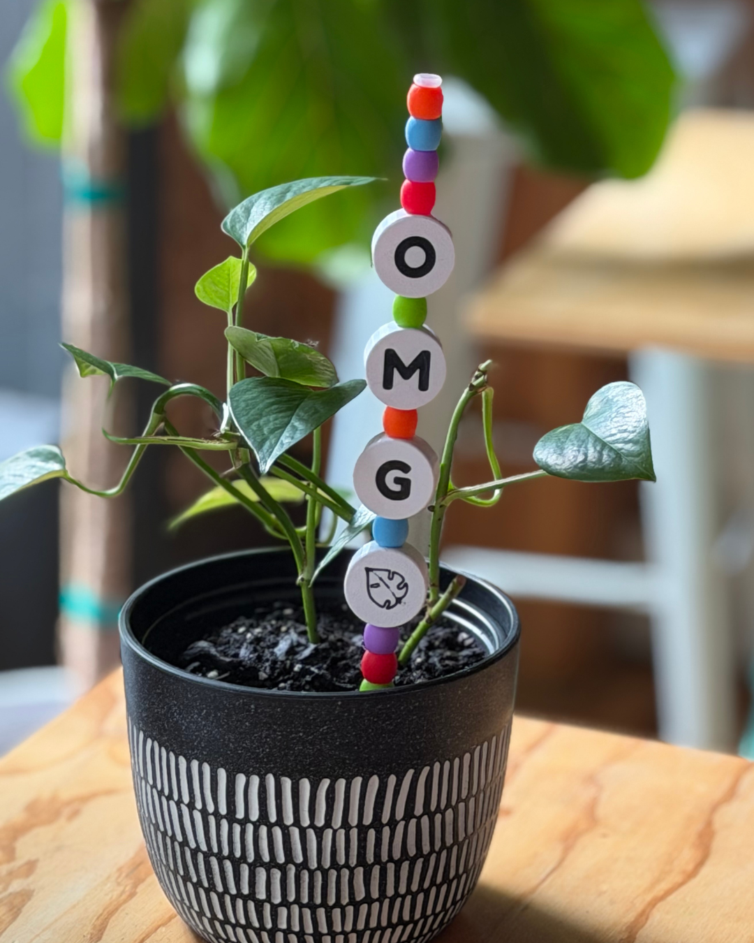 OMG Plant Kandi 4 Count