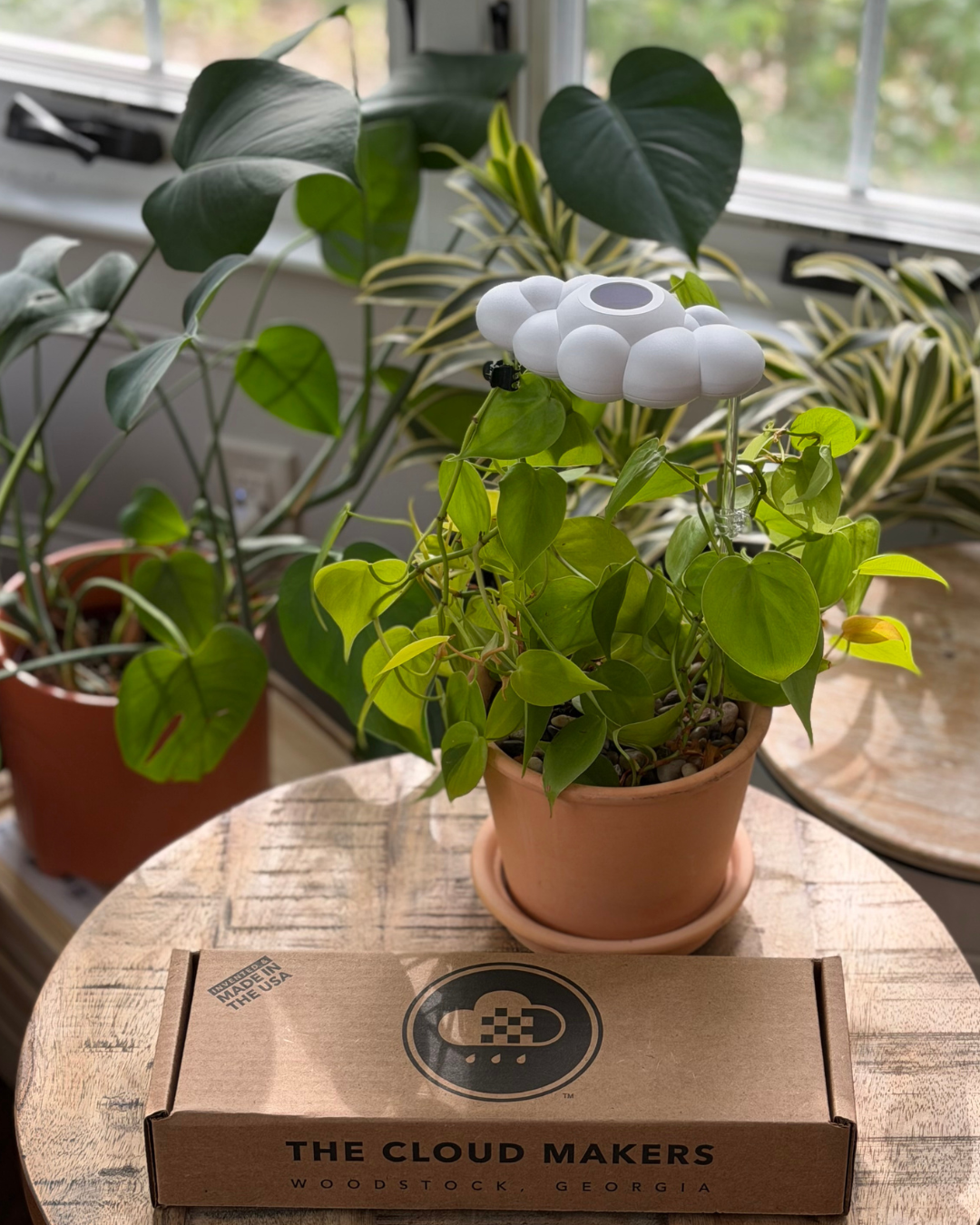 Original Dripping Rain Cloud