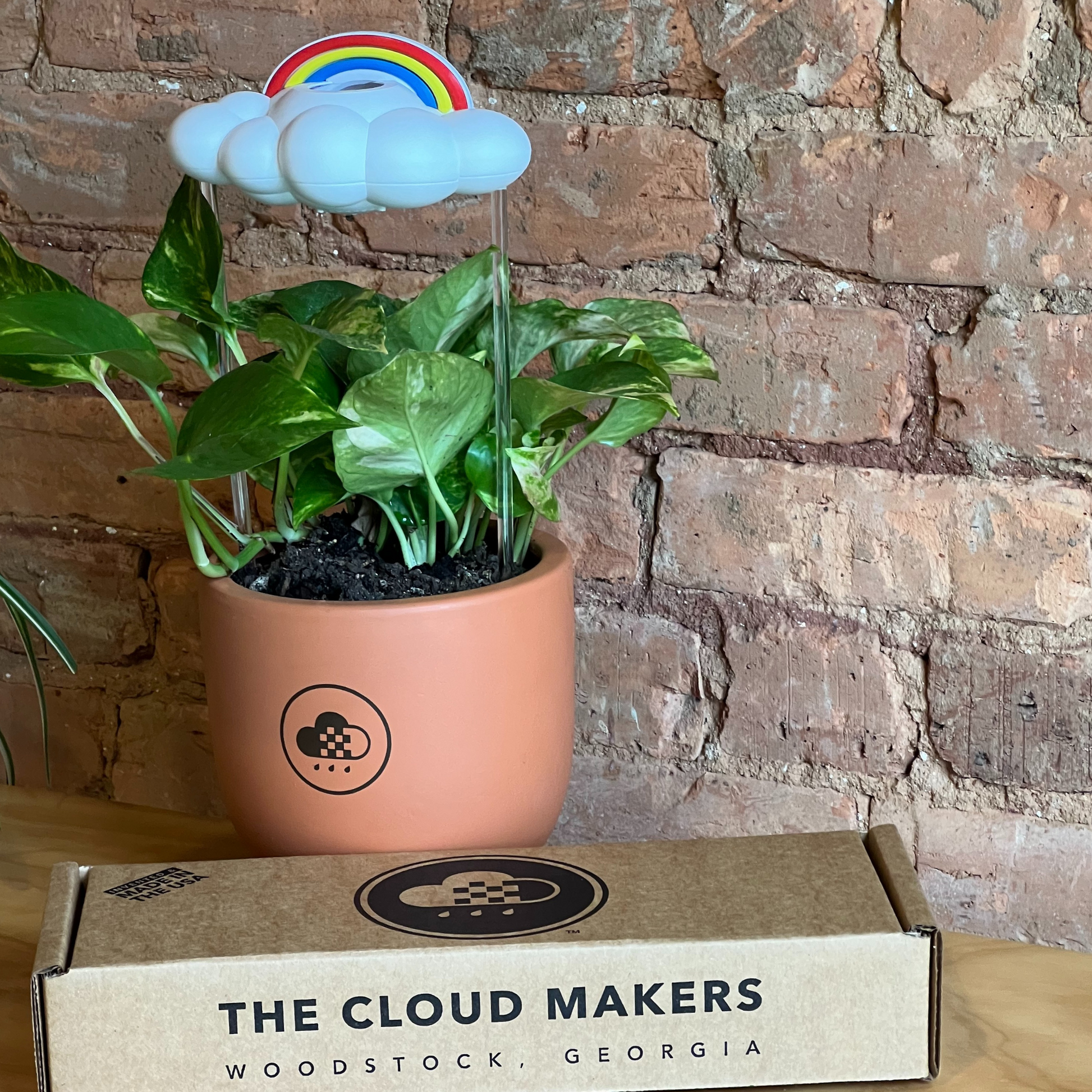 Primary Rainbow Charm for dripping rain cloud