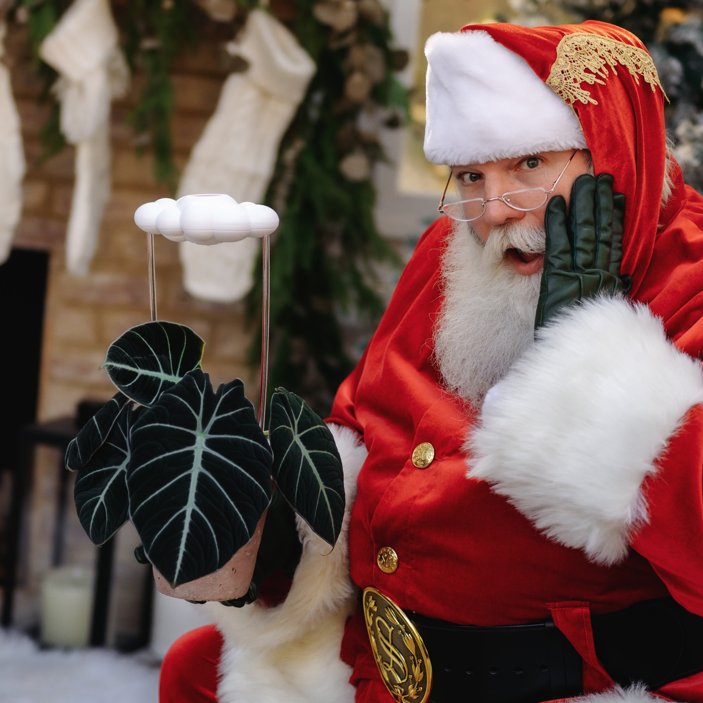 Original Dripping Rain Cloud