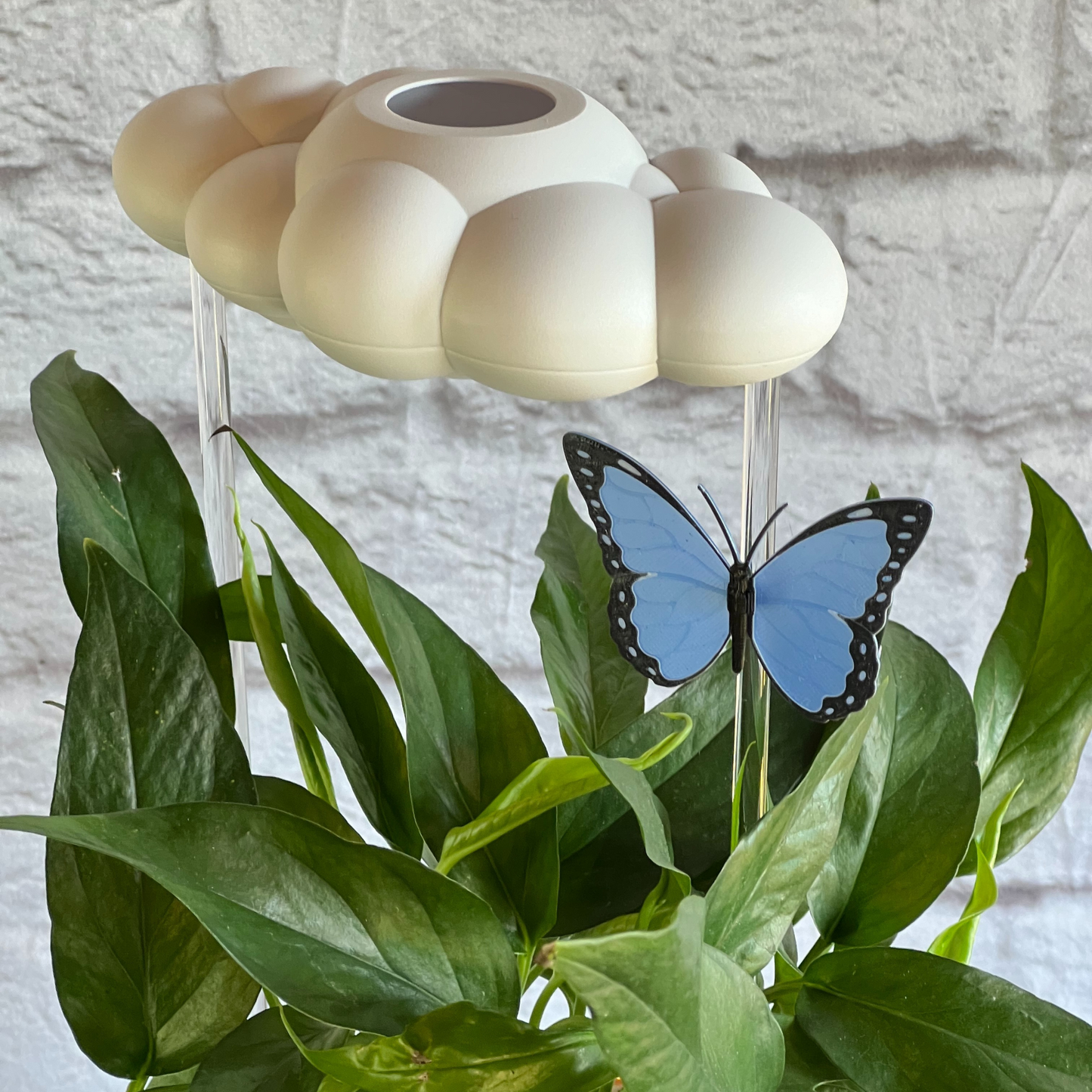 Original dripping rain cloud for plants by THE CLOUD MAKERS with Blue Butterfly charm
