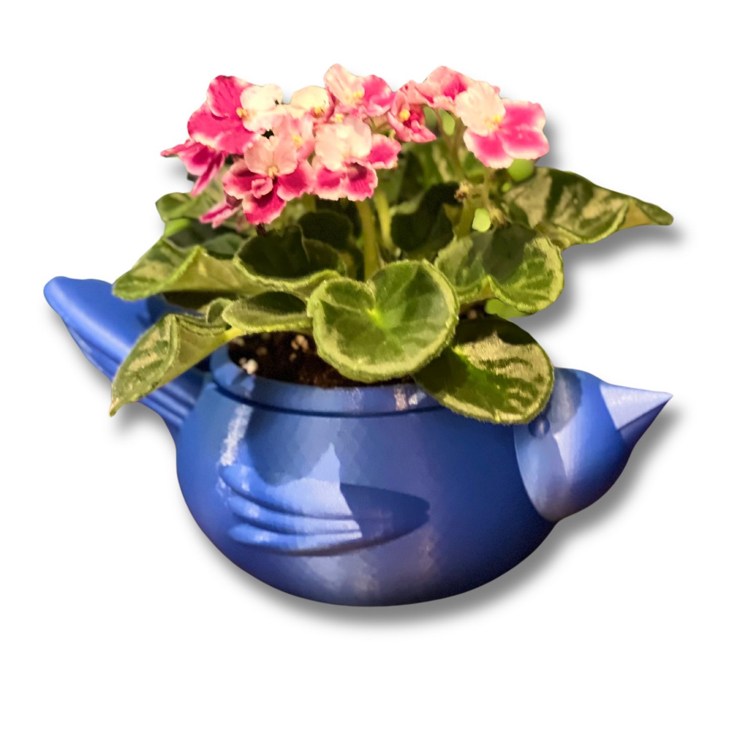 Chunky Bird self watering planter