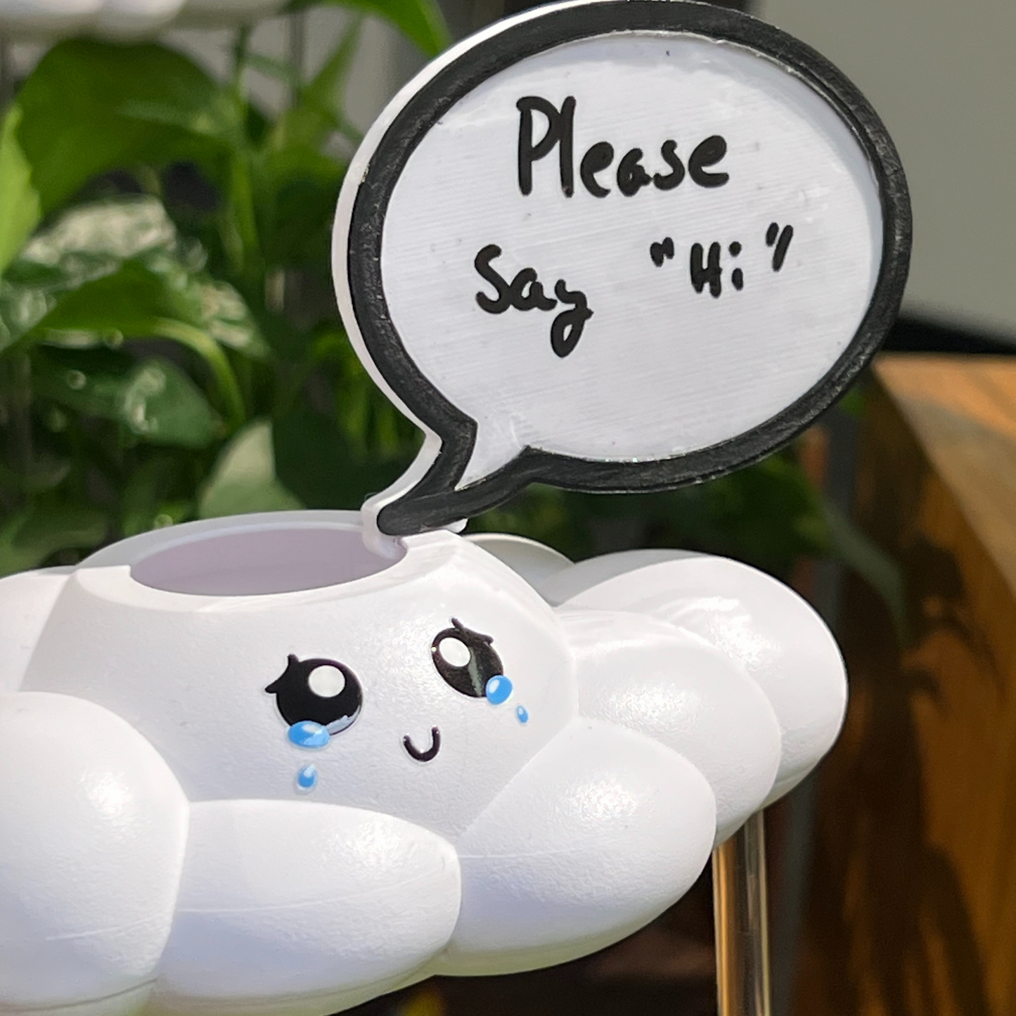 Clara the Cloud with a speech bubble saying 'Please Say Hi' against a blurred green background
