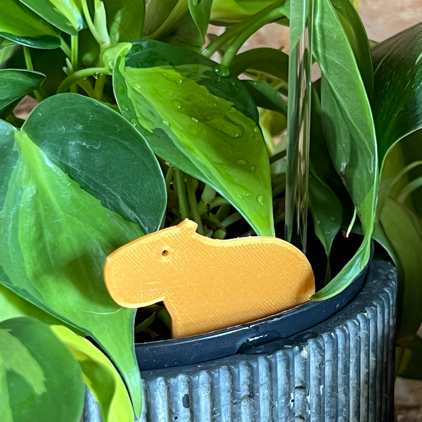 potted plant with a Capybara Plick