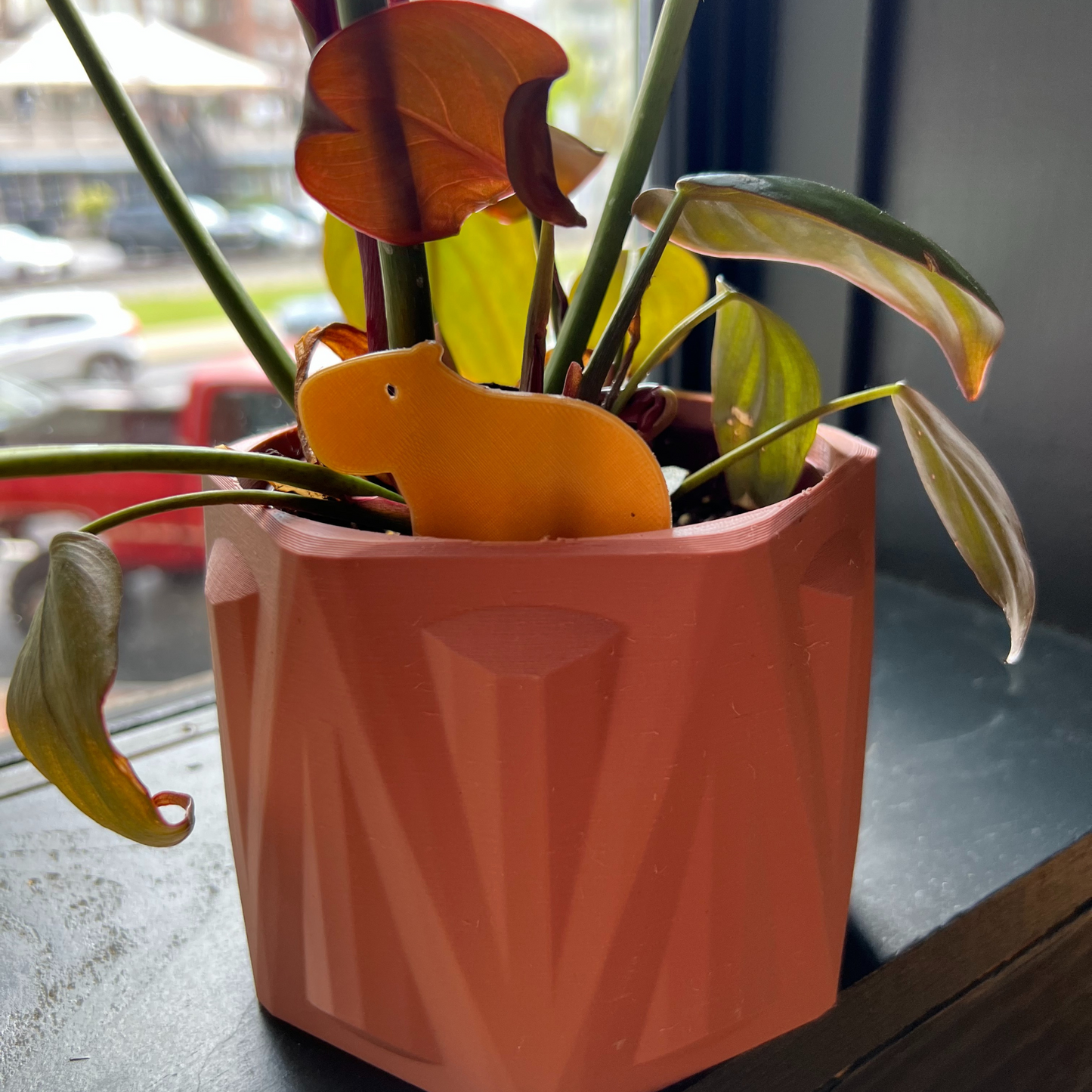 Small potted plant with a Capybara Plick