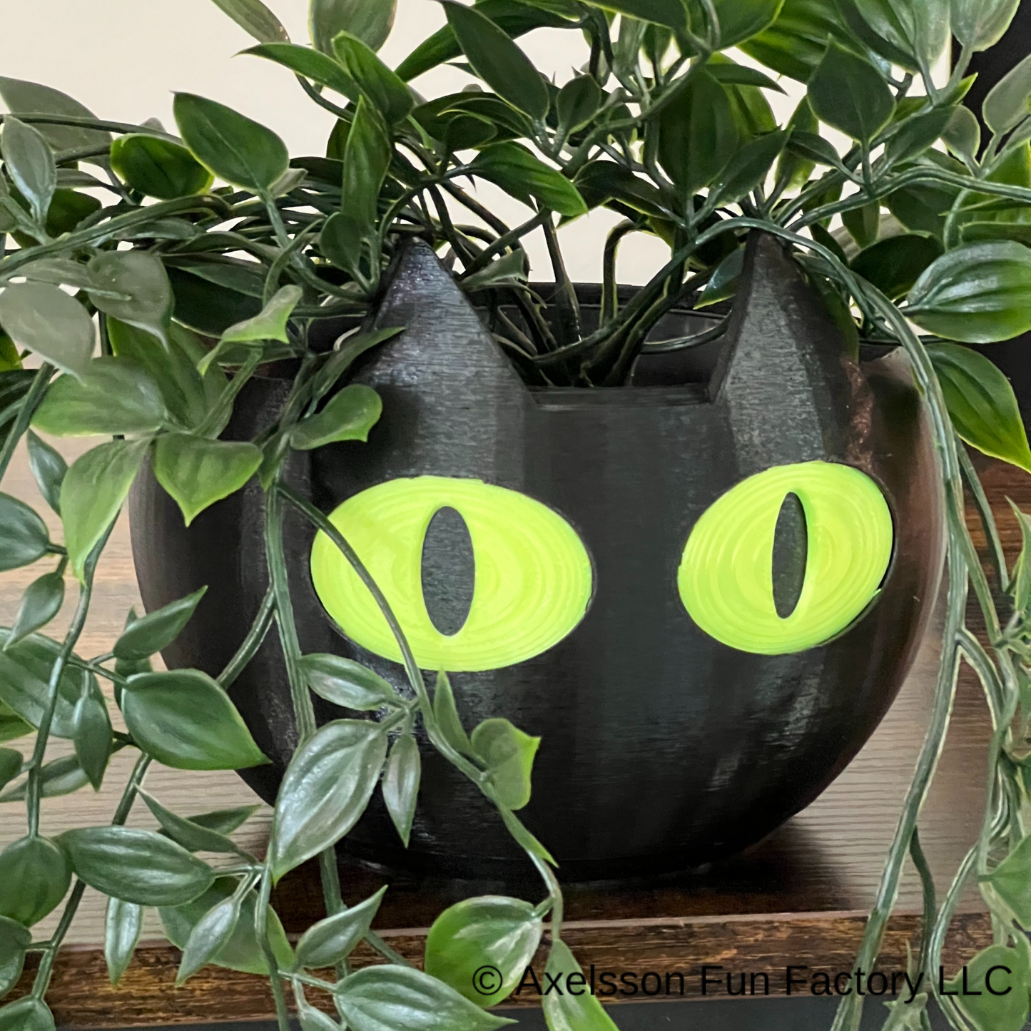 Cat Pot