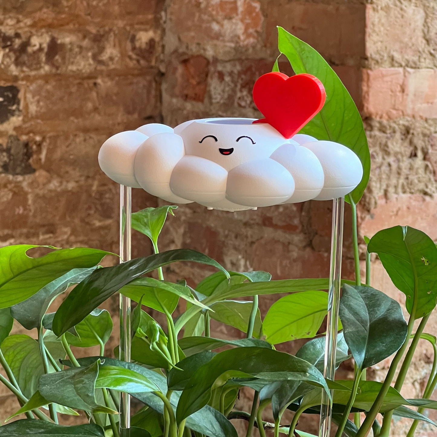 Chelsea the Cloud with red heart charm, surrounded by green plants against a brick wall.