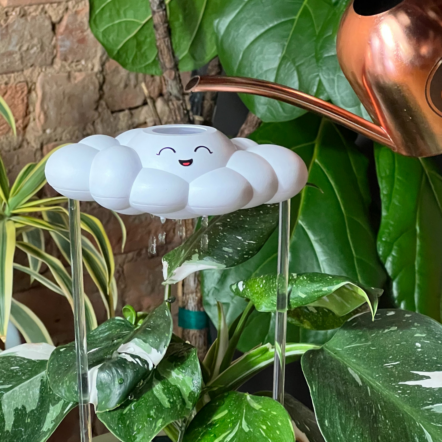 Chelsea the Cloud being used to water a plant with a brick wall background