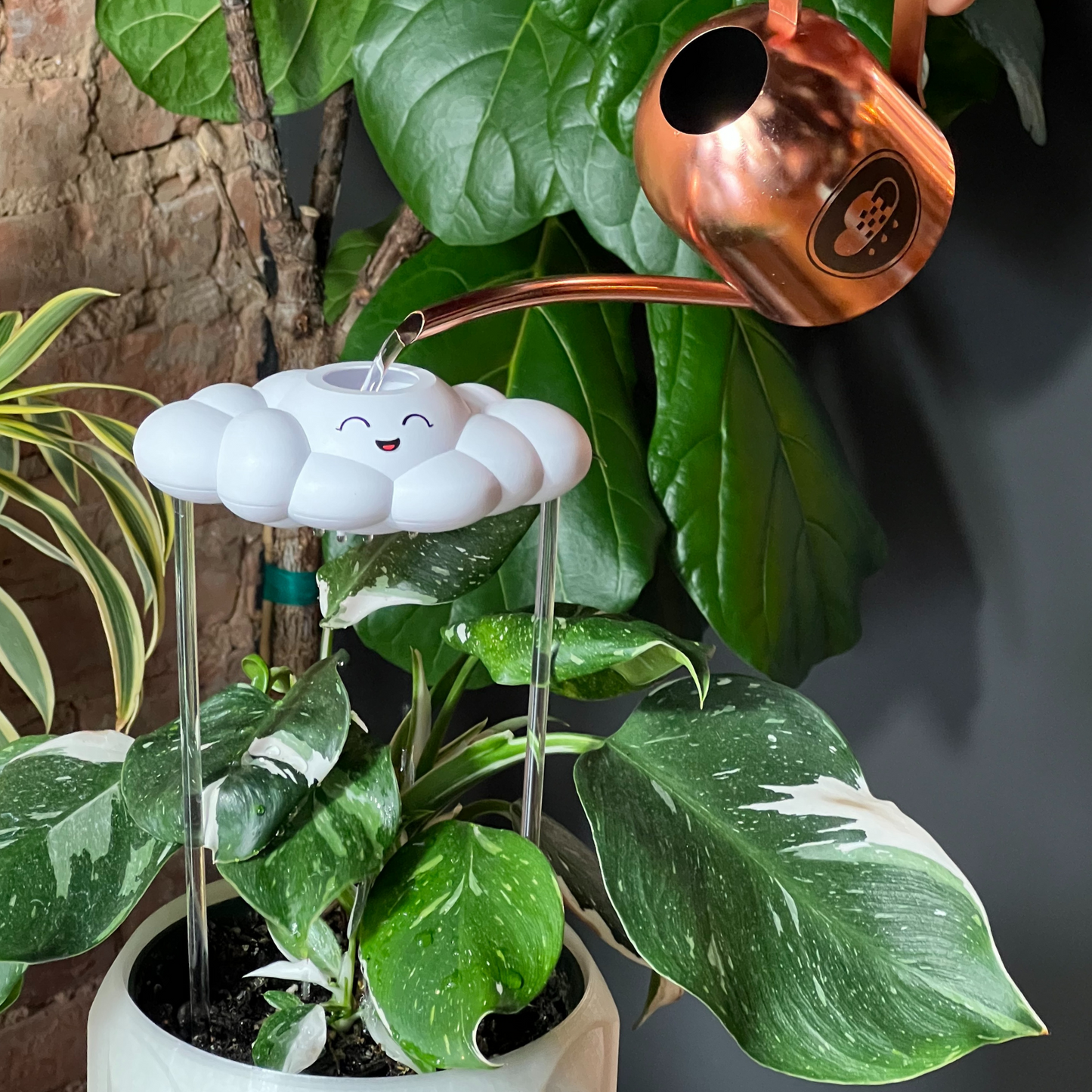 Chelsea the Cloud watering a potted plant with a stone wall background