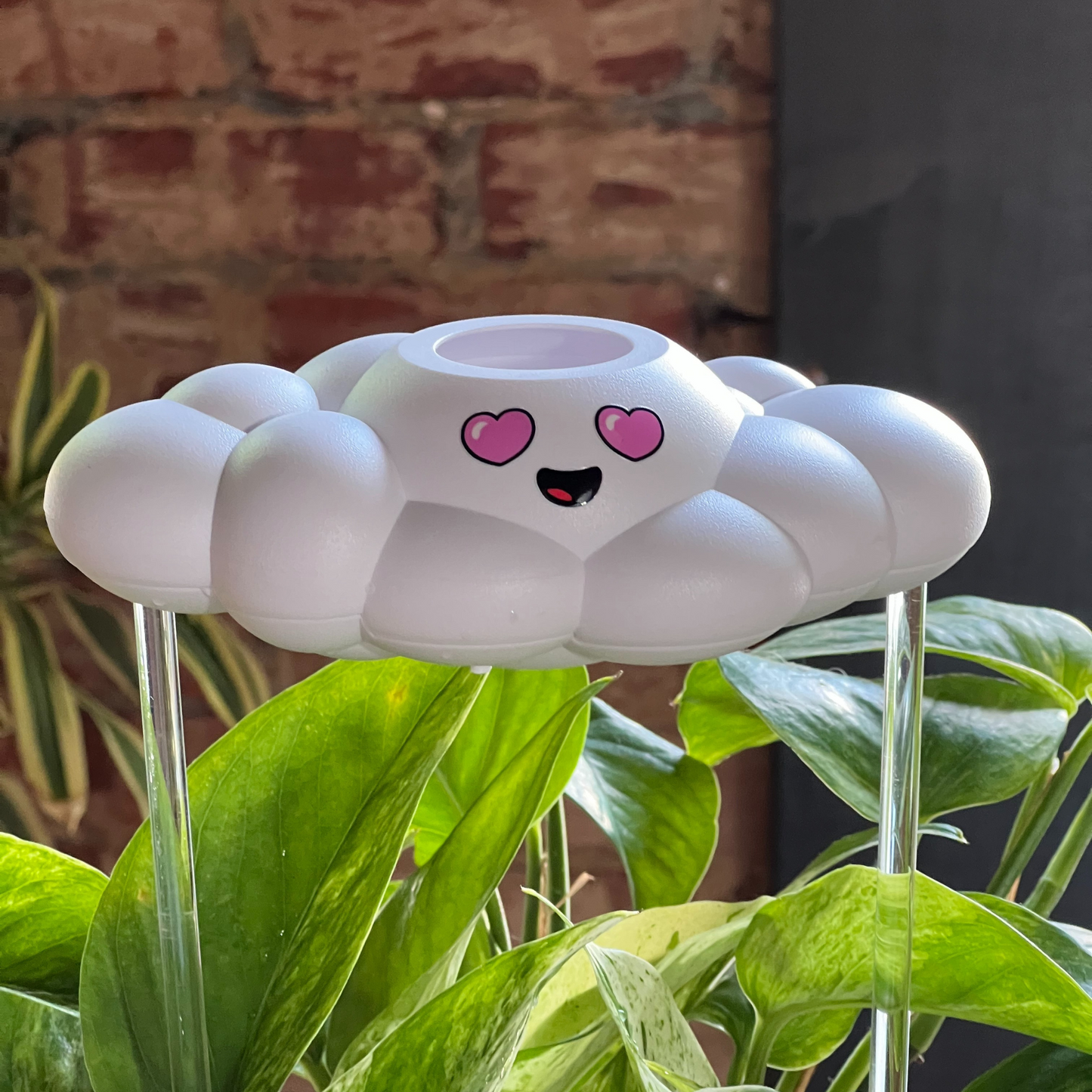 Chloe the Cloud on top of a plant against a brick wall.