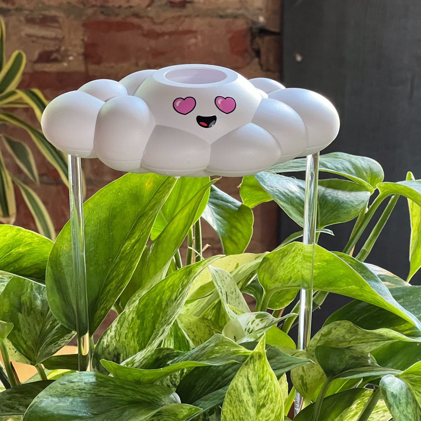 Chloe the Cloud plant waterer on green plants against a brick wall.