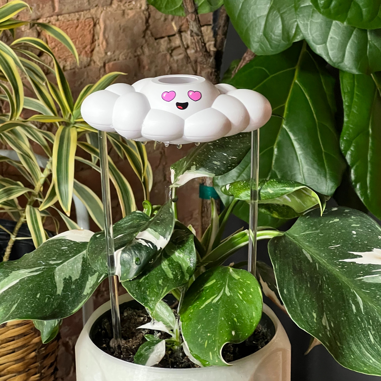 Chloe the Cloud, placed among potted plants.