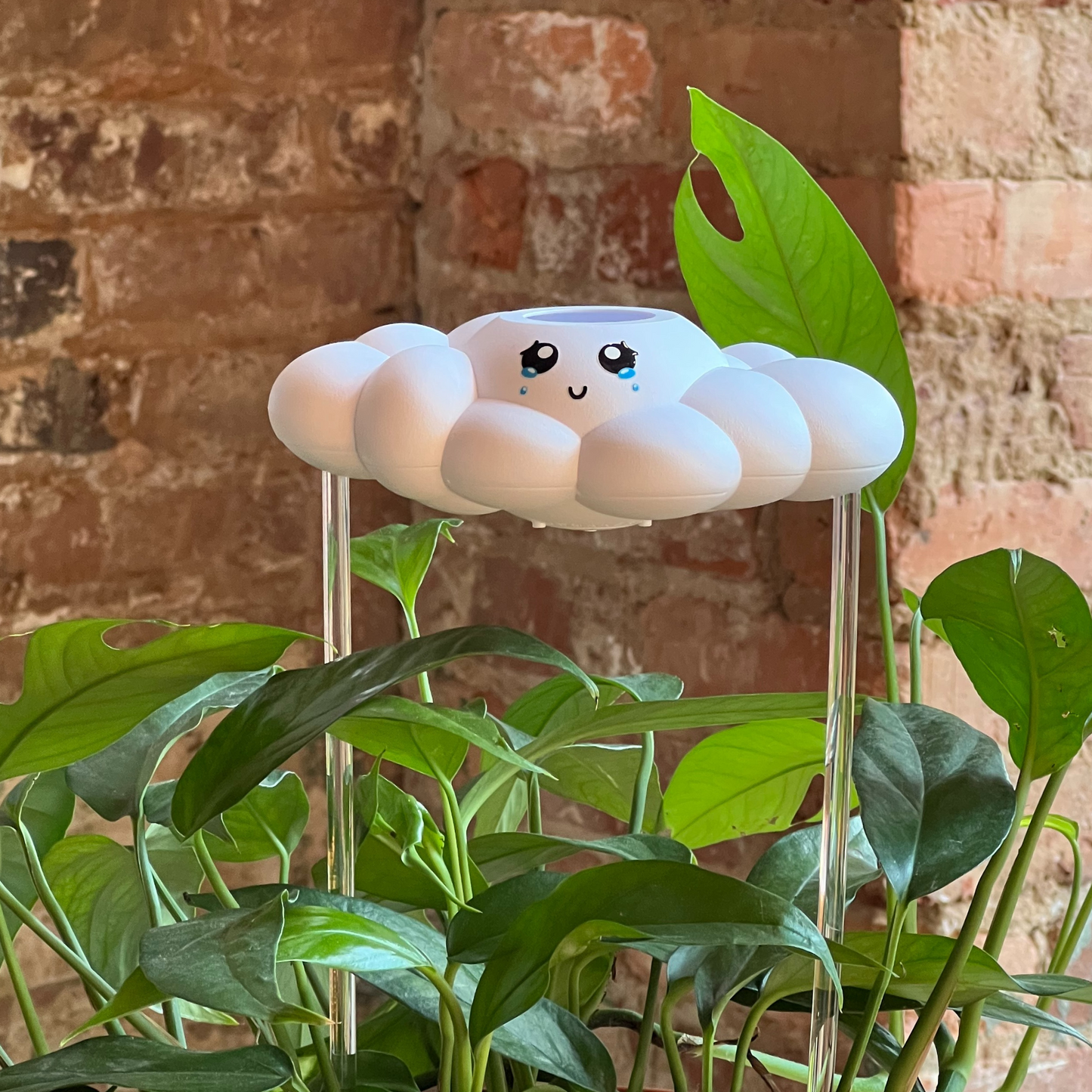Clara the Cloud in green plants against a brick wall.