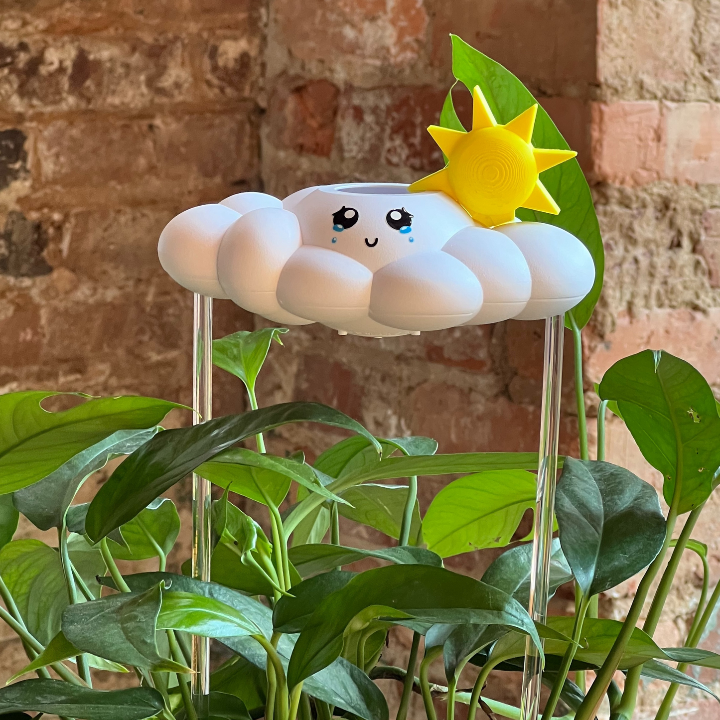 Clara the Cloud with sun charm in a plant against a brick wall.