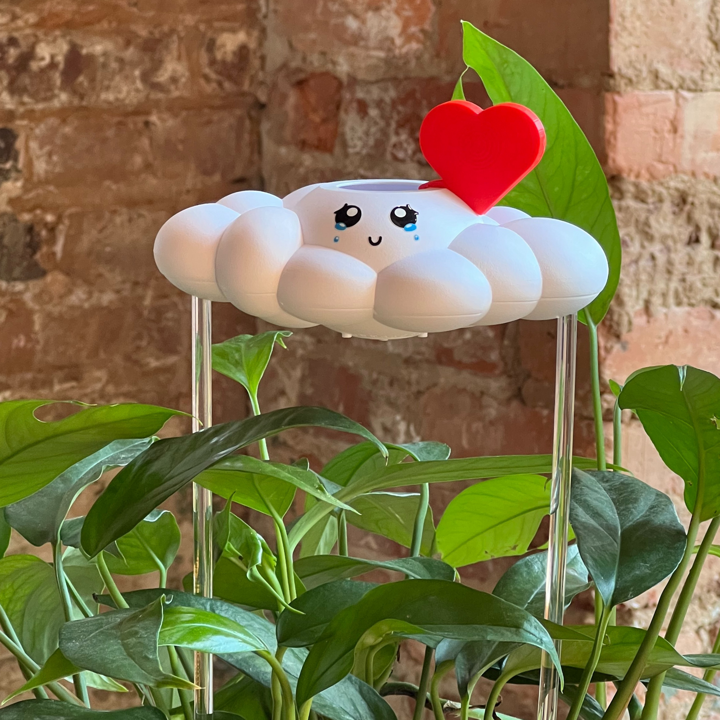 Clara the Cloud with a red heart charm, surrounded by green plants against a brick wall.