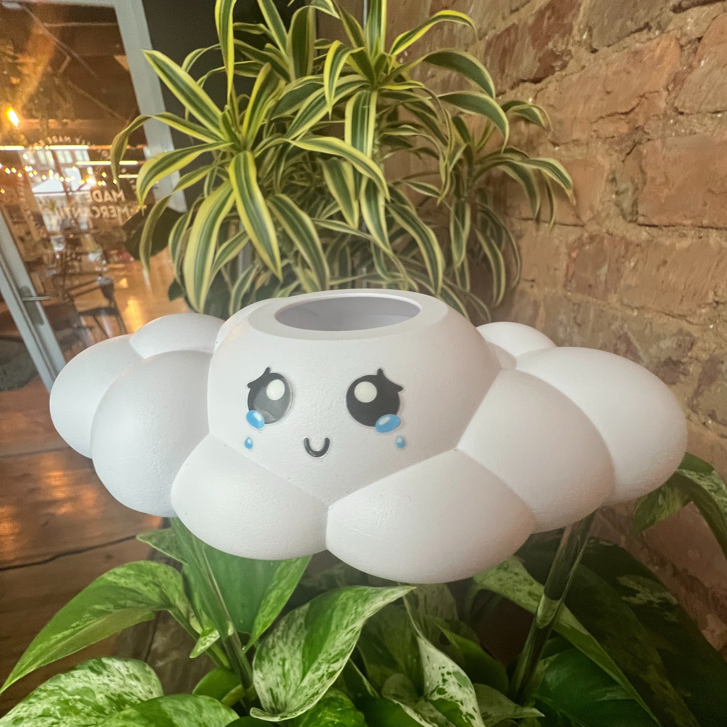 Clara the Cloud in plants