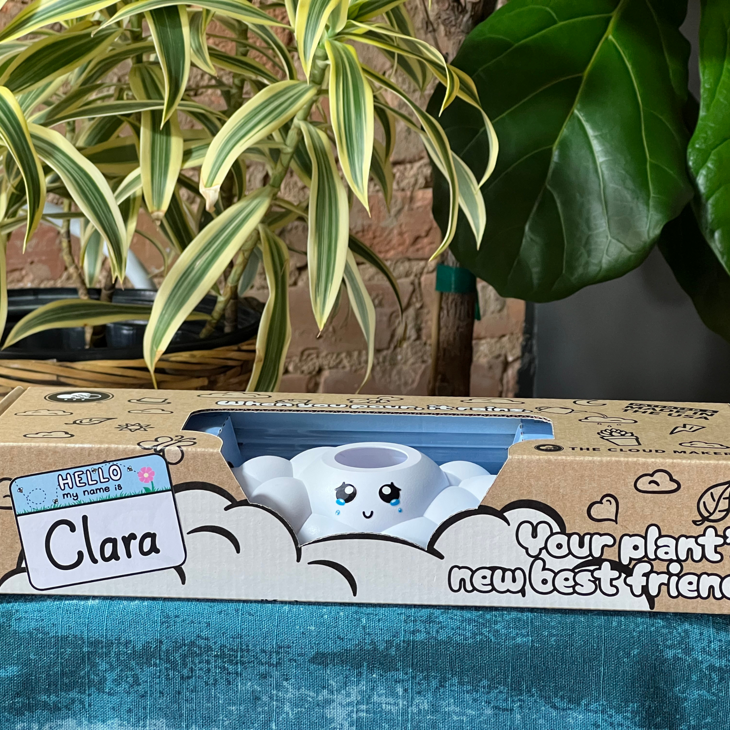 Clara the Cloud series 001 in product packaging, set against a background of green plants.