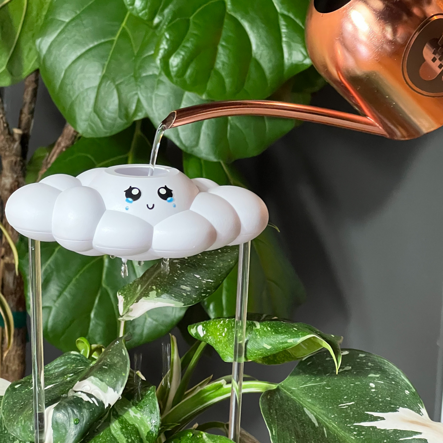 Copper watering can pouring into Clara the Cloud