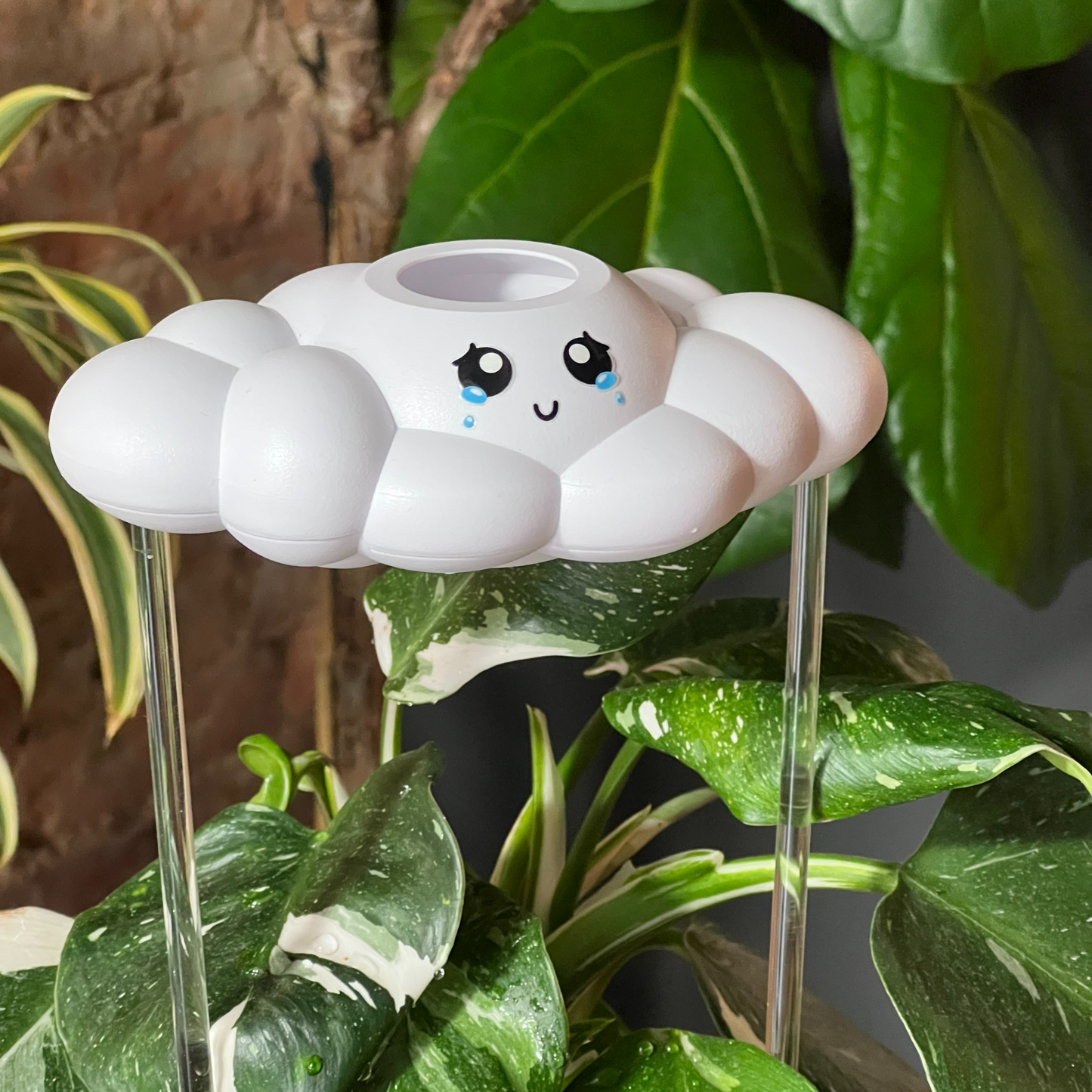 Clara the Cloud on a plant