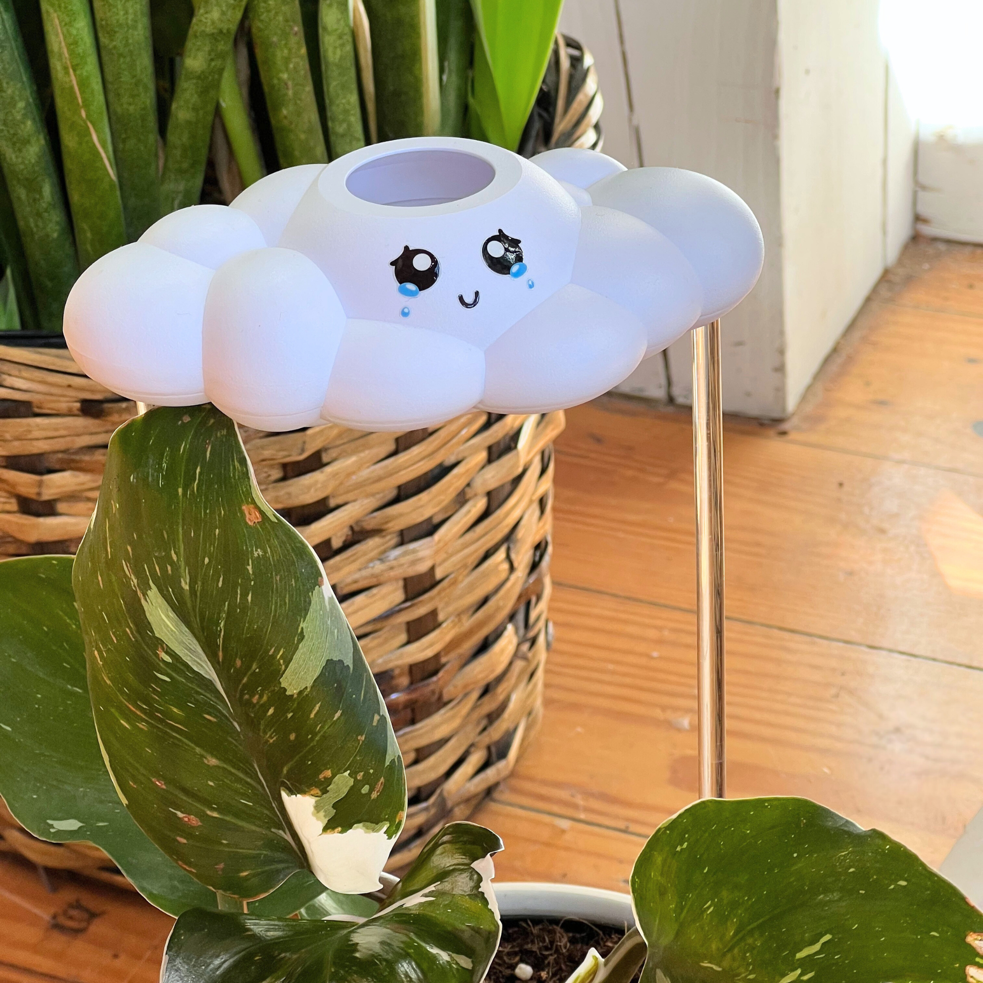 Clara the Cloud on a wooden floor with plants