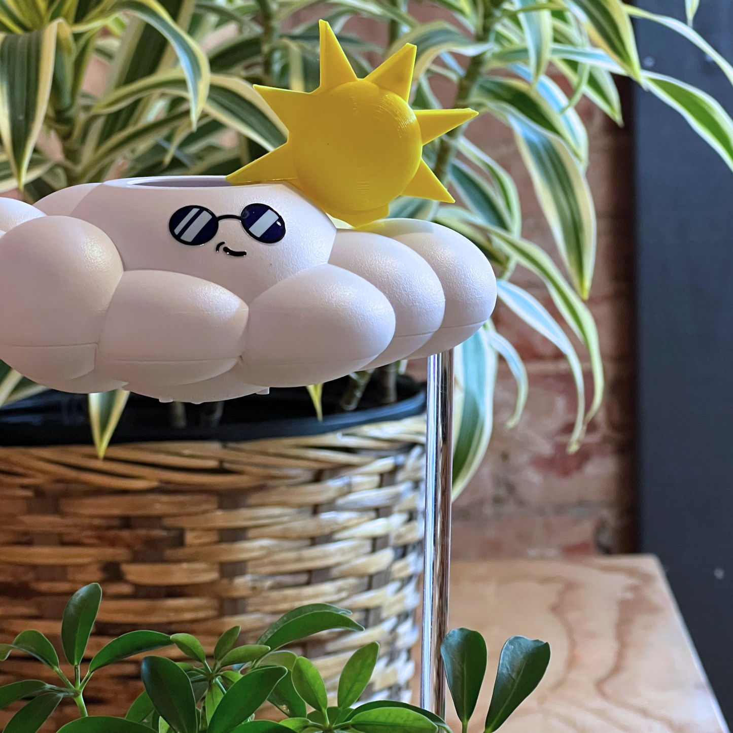 Cooper the Cloud - Dripping Rain Cloud for Plants