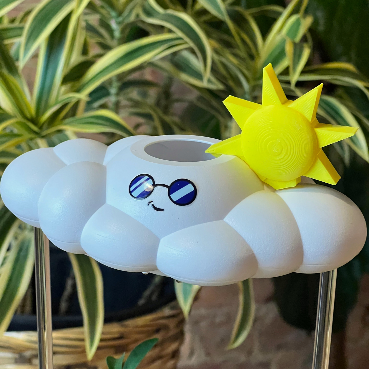 Cooper the Cloud - Dripping Rain Cloud for Plants