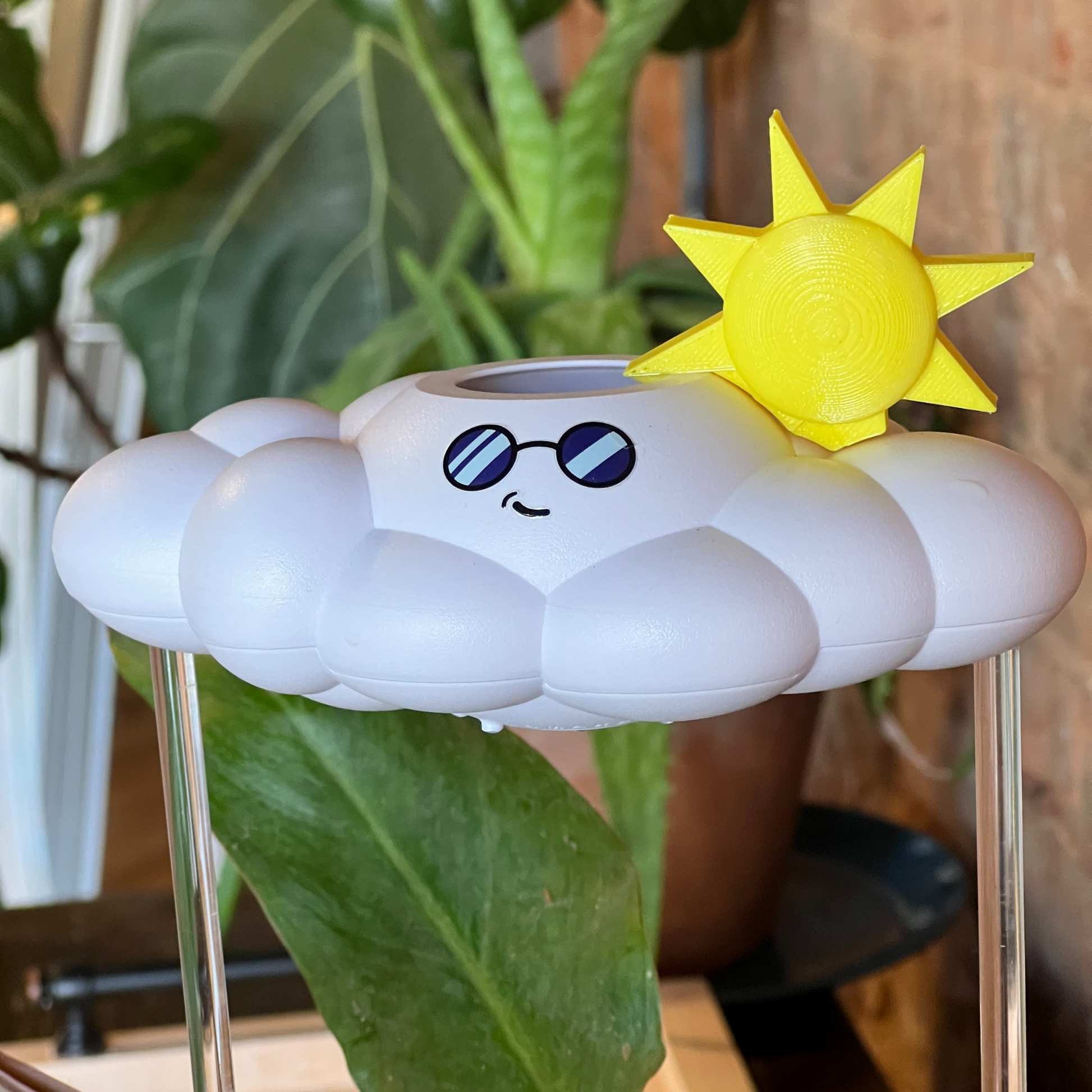Cooper the Cloud - Dripping Rain Cloud for Plants