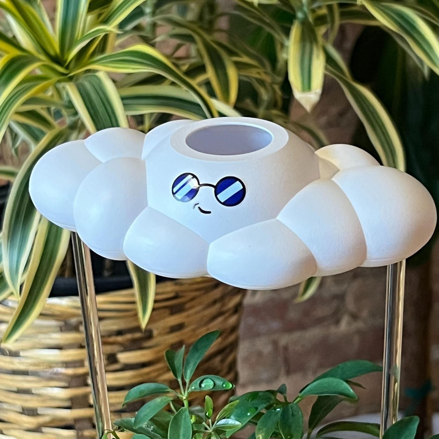 Cooper the Cloud - Dripping Rain Cloud for Plants