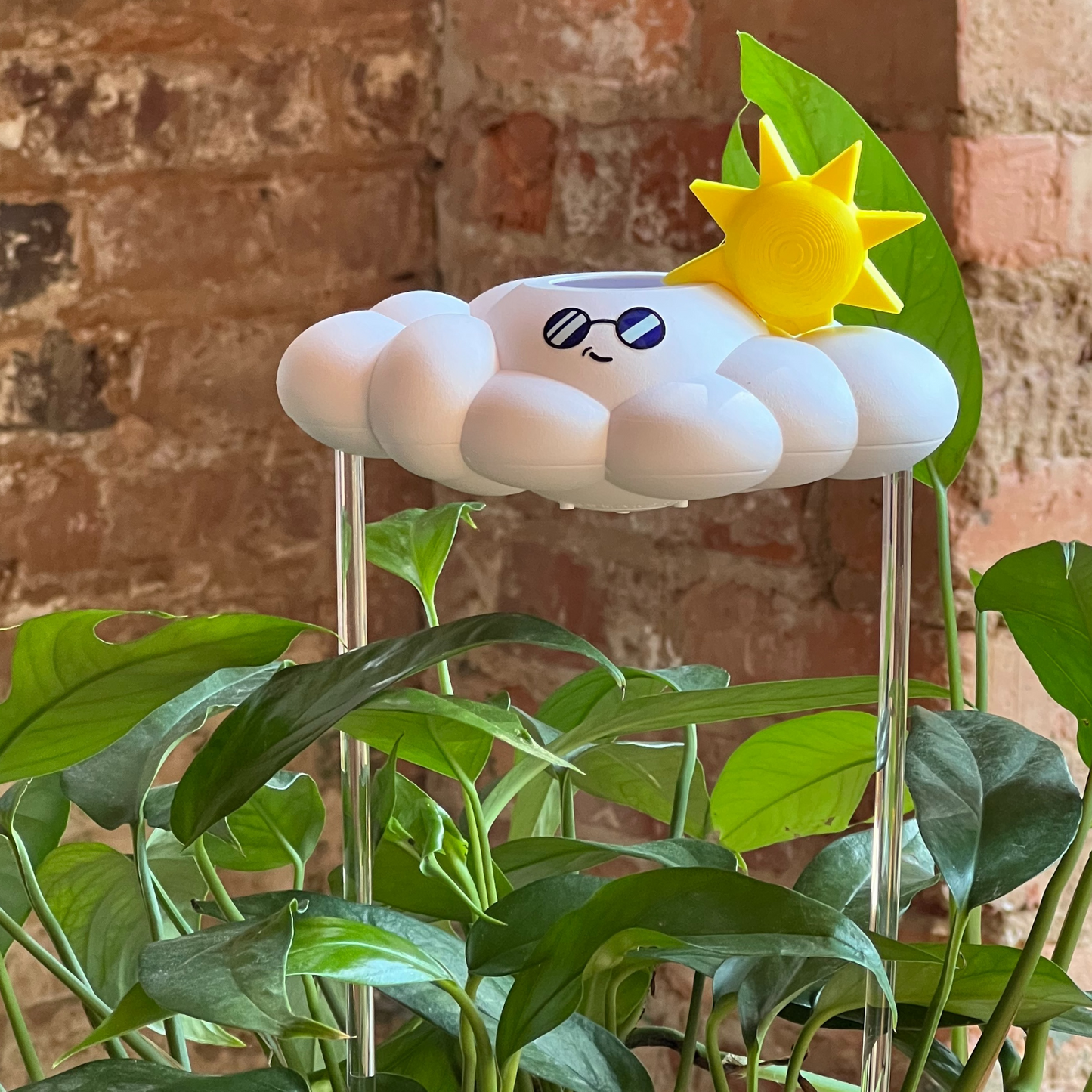 Cooper the Cloud with a sun charm, surrounded by green plants against a brick wall.