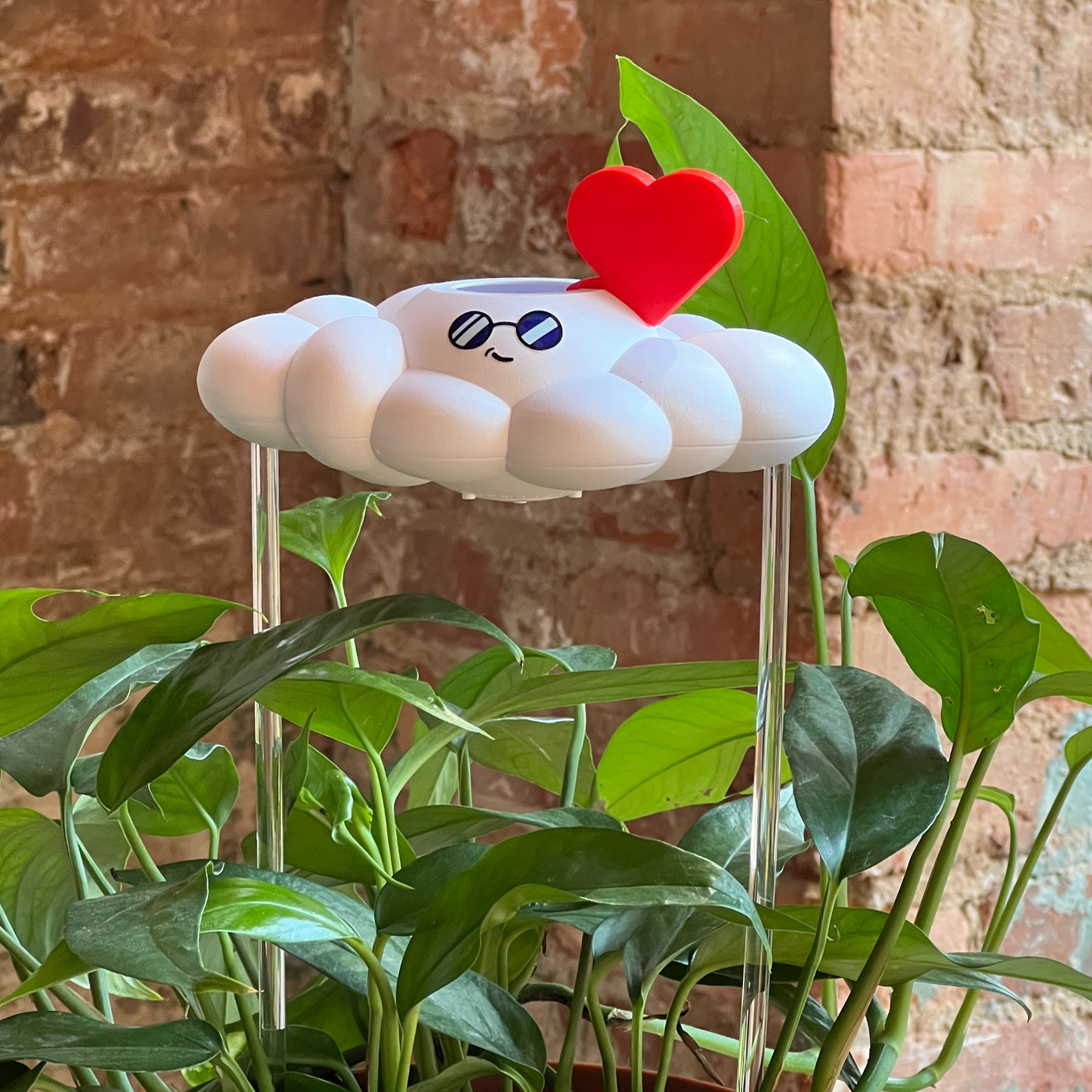 Cooper the Cloud with a red heart Charm, surrounded by green plants against a brick wall.