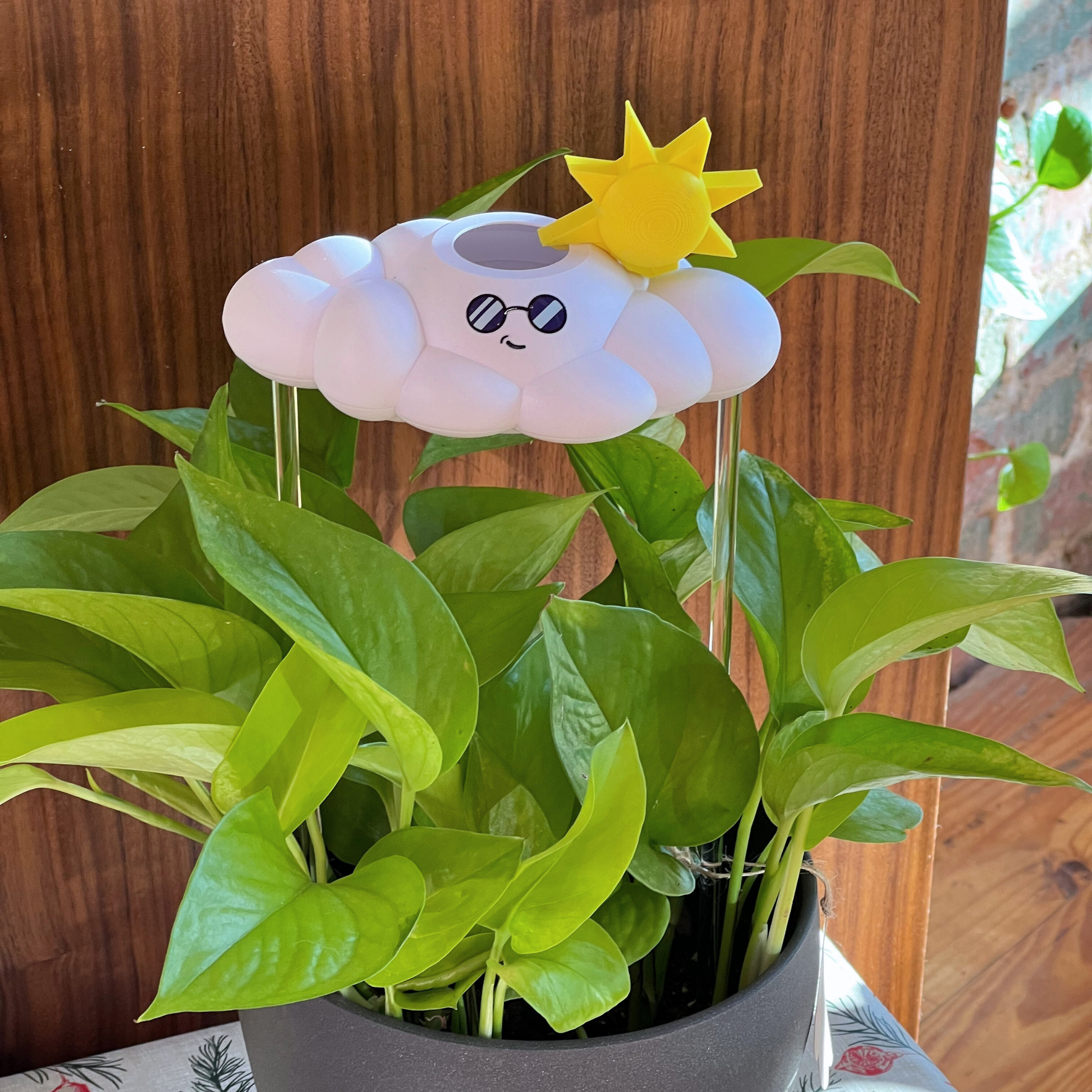 Cooper the Cloud - Dripping Rain Cloud for Plants
