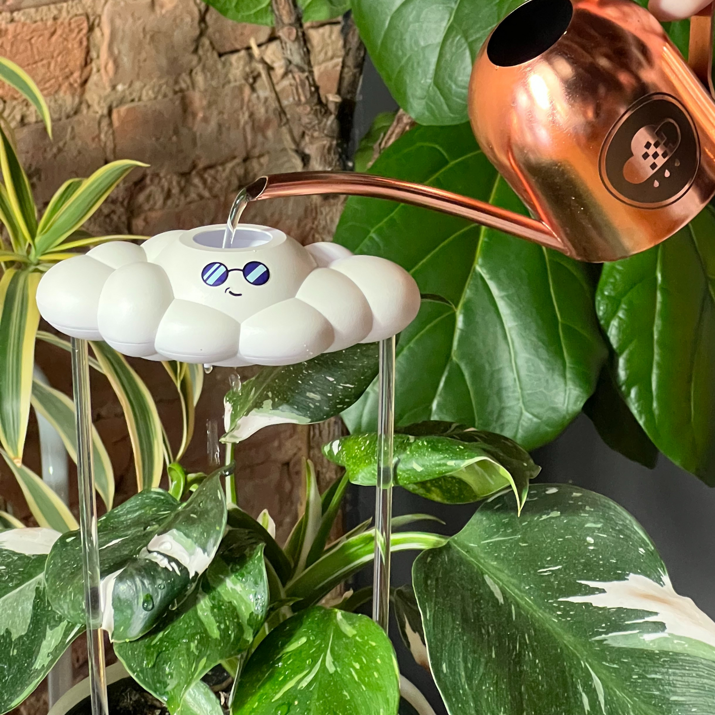 Copper watering can pouring water into Cooper the Cloud, surrounded by green plants.