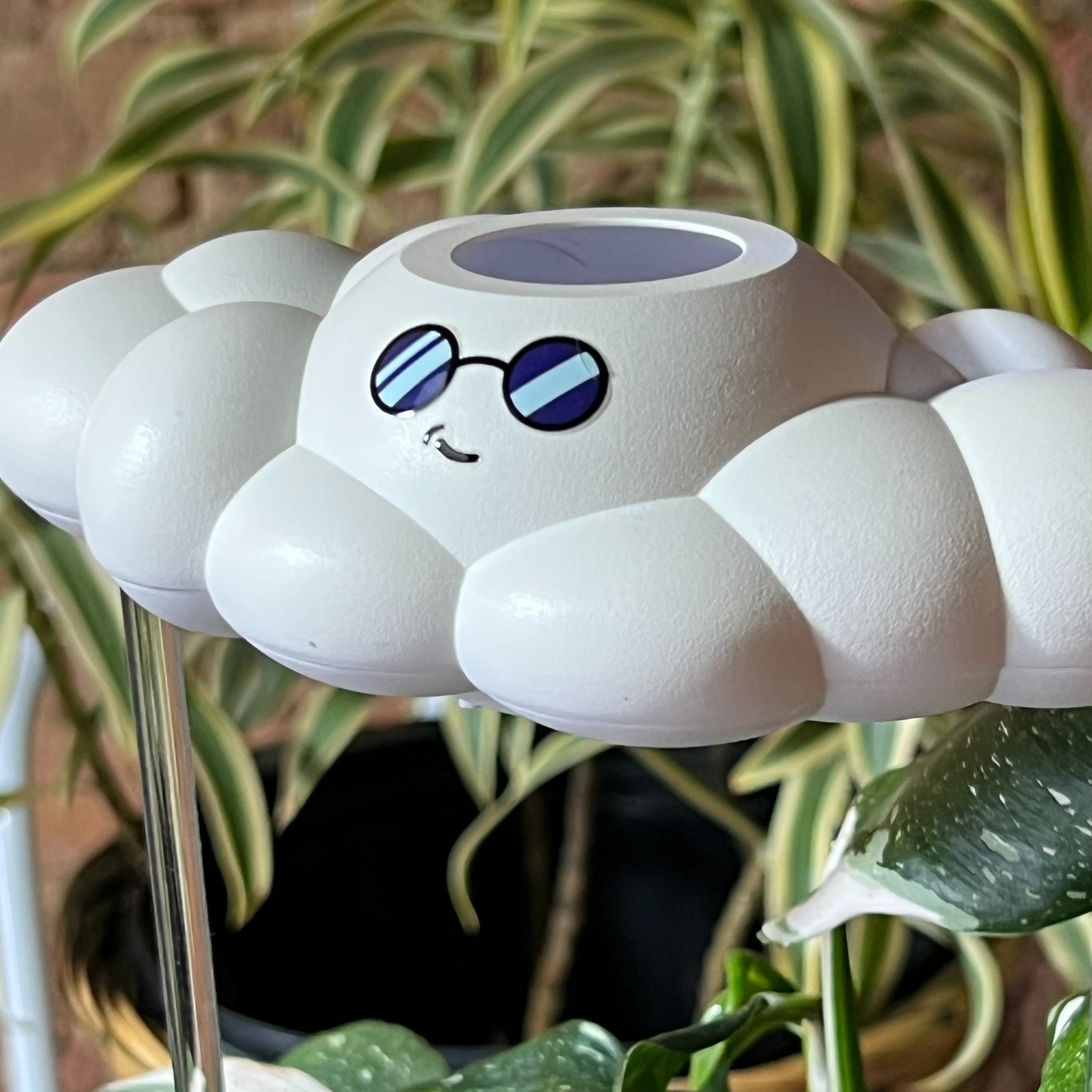 Cooper the Cloud, surrounded by green plants.