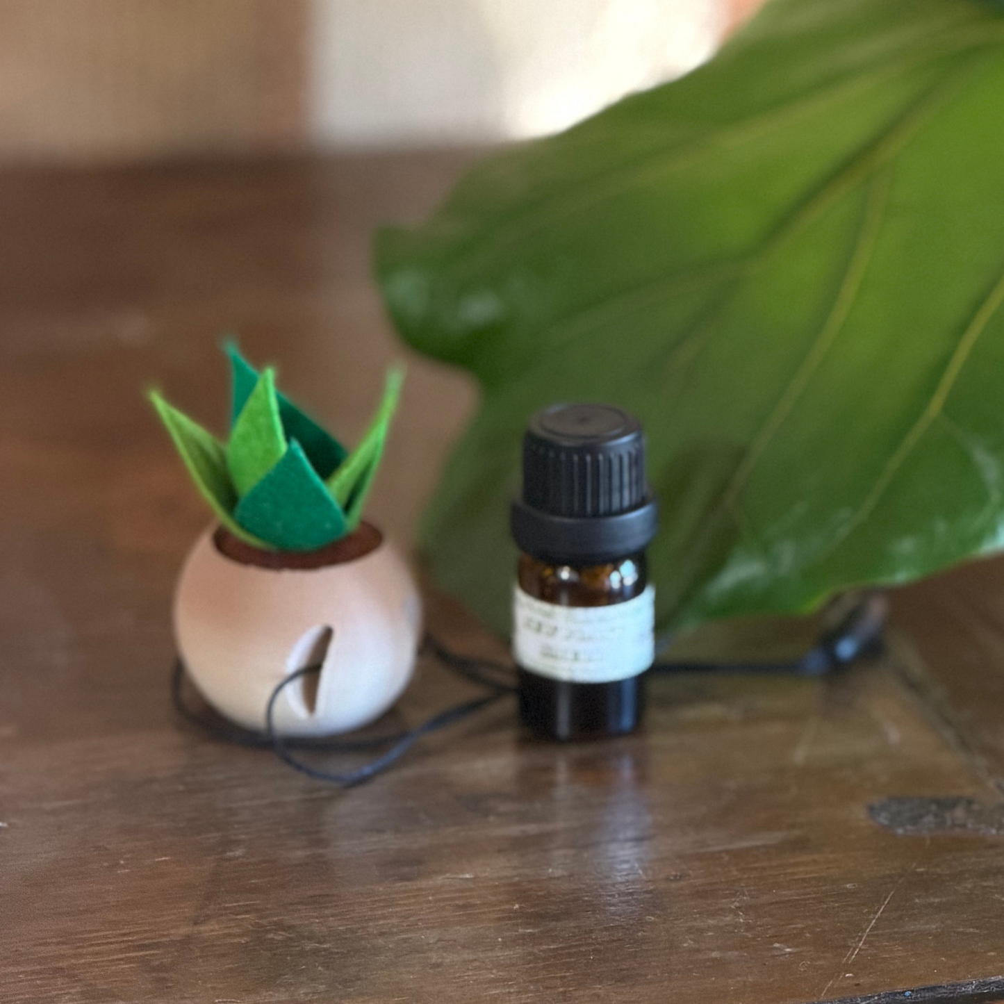 Tiny Plant Car Diffuser